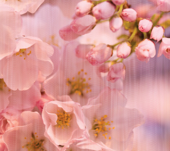 Фрески/Панно Loymina Illusion 2