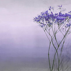 Фотообои Onprint Watercolour melody Фотообои Onprint Watercolour melody