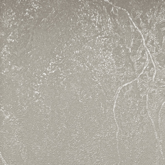 Обои Bernardo Bartalucci GAGA