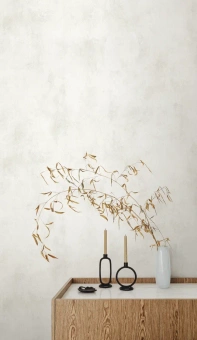 Обои Alessandro Allori Argiano