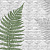 Фотообои Wall Street Selva