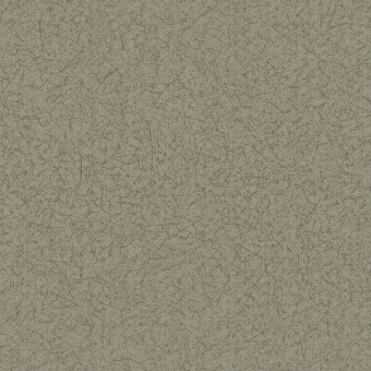 Обои Brewster Evolution 5