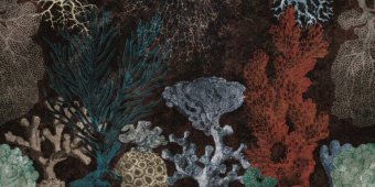 Фотообои My Fresco Животные и птицы