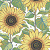 Обои Borastapeter Special Edition Flowery