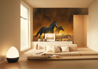 Фотообои Artmegahome Животные