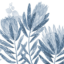 Фотообои Wall Street HERBARIUM