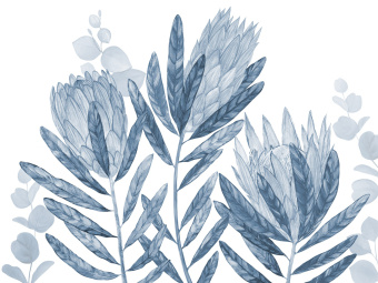 Фотообои Wall Street HERBARIUM