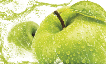 Фрески/Панно ORTOGRAF Кухня