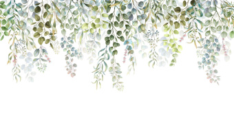 Фотообои Respace Цветы  Флоренс