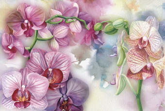 Фрески/Панно ORTOGRAF