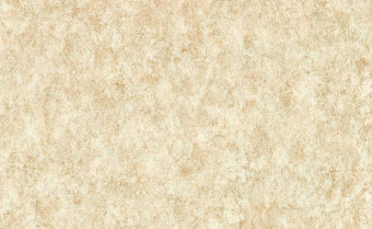 Обои Clarke & Clarke Expressions Performans