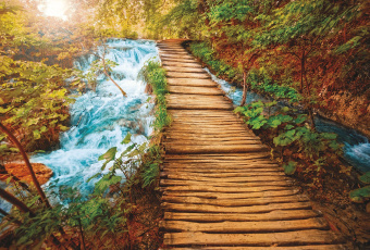 Фрески/Панно ORTOGRAF