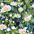Обои Clarke & Clarke Wedgwood Botanical Wonders
