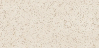 Обои Alessandro Allori Argiano