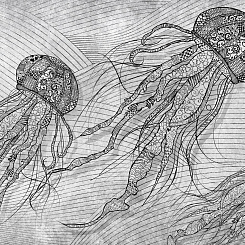  Обои Skinwall Contemporary Collection