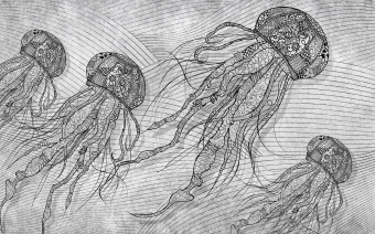  Обои Skinwall Contemporary Collection