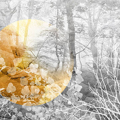  Обои Skinwall Contemporary Collection