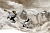 Фрески/Панно ORTOGRAF Free time