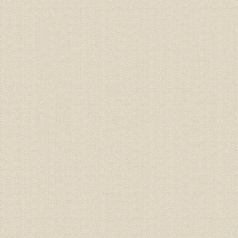 Обои Alessandro Allori Bruni