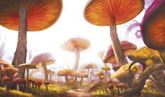 Фрески/Панно ORTOGRAF