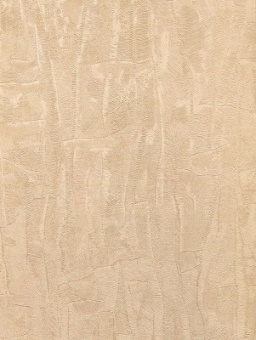 Обои Cassanie Sylvia