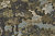 Обои Wallquest Trees