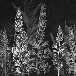 Фотообои Wall Street SUMMERTIME