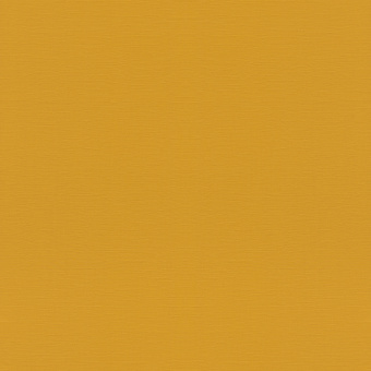 Обои Rasch Allegretto