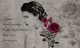  Обои Skinwall Contemporary Collection