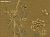 Обои Fromental Chinoiserie