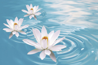 Фрески/Панно ORTOGRAF