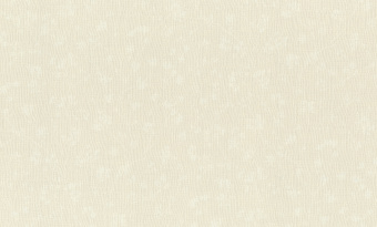 Обои Rasch Alghero