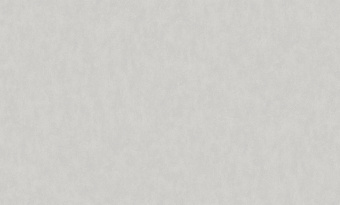 Обои Rasch Bright Whisper