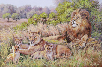 Фрески/Панно ORTOGRAF