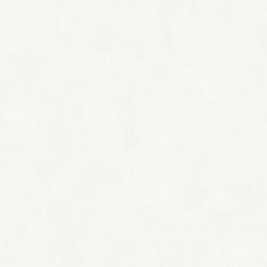 Обои Rasch Bright Whisper