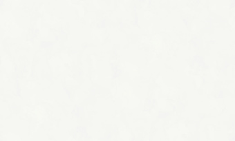 Обои Rasch Bright Whisper