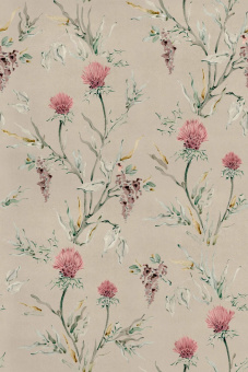 Обои Coordonne  Palacio de Cristal