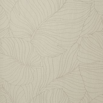 Обои Andrea Rossi Palmaria