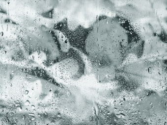 Фотообои Wall Street GREENDAY 22