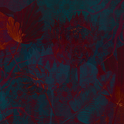 Фотообои Wall Street SERENE