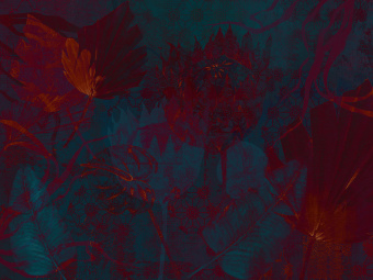 Фотообои Wall Street SERENE