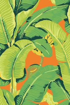 Обои JV LICENZE Scalamandre