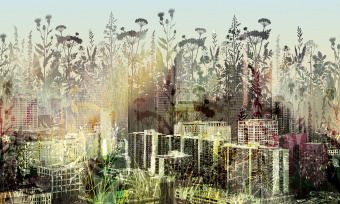 Фрески/Панно ORTOGRAF Urban art