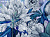 Фотообои Wall Street Giardino