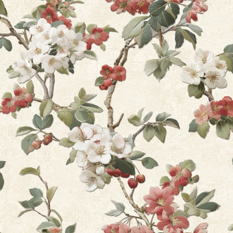 Обои Alessandro Allori Giorgio