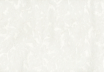 Обои Cassanie Mainz