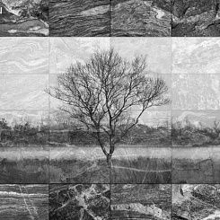 Фотообои Wall Street Grayscale