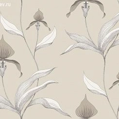 Обои Cole & Son Contemporary Restyled