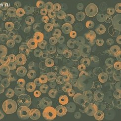 Обои Coordonne GEOхимия