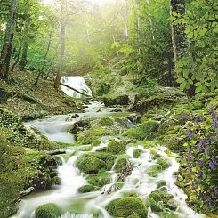 Фрески/Панно ORTOGRAF